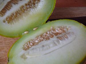 Melon