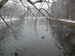 Gdańsk - Park Oliwski