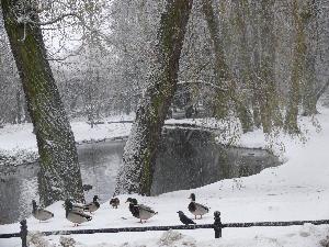 Gdańsk - Park Oliwski