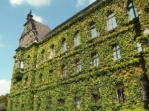 Wrocław - Muzeum Narodowe