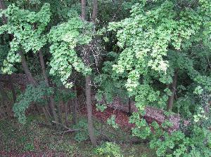 Zagórze Śląskie - widok z zamku Grodno na zbocze góry Choina