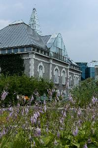 Warszawa - ogród na dachu Biblioteki Uniwersyteckiej