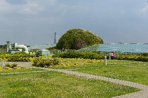 Warszawa - ogród na dachu Biblioteki Uniwersyteckiej