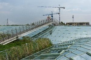 Warszawa - ogród na dachu Biblioteki Uniwersyteckiej