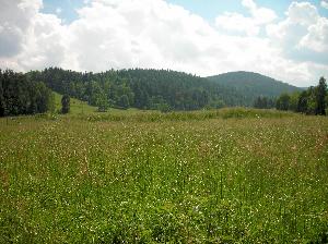 Beskid Żywiecki