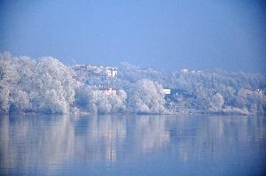 Winnica zimą