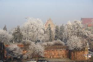 Toruń zimą