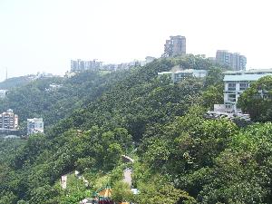 Hong Kong(Chiny) - Victoria Peak