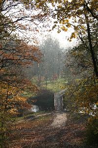 Park Miejski w Toruniu