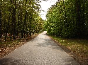 Toruń - Barbarka