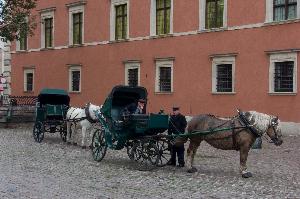 Dorożki w Warszawie