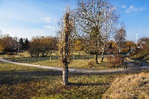 Toruń - Dolina Marzeń