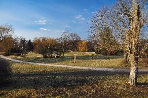 Toruń - Dolina Marzeń