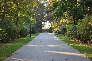 Park na Bydgoskim Przedmieściu