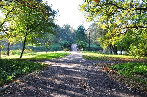 Park na Bydgoskim Przedmieściu