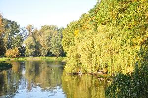 Park na Bydgoskim Przedmieściu