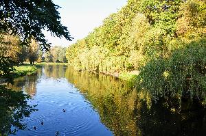 Park na Bydgoskim Przedmieściu