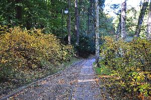 Park na Bydgoskim Przedmieściu