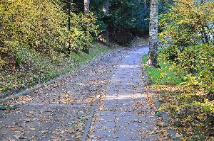 Park na Bydgoskim Przedmieściu