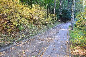 Park na Bydgoskim Przedmieściu