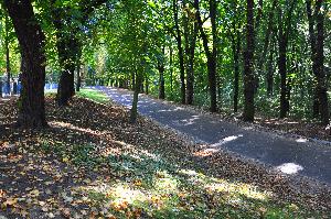 Park na Bydgoskim Przedmieściu