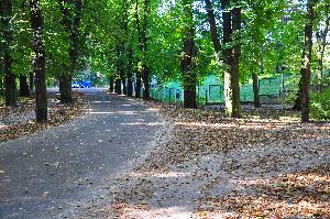 Park na Bydgoskim Przedmieściu