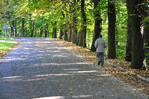 Park na Bydgoskim Przedmieściu