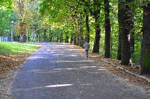 Park na Bydgoskim Przedmieściu