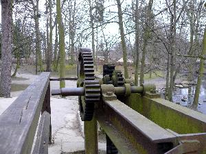 Stawidło - park oliwski w Gdańsku