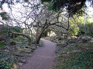 Gdańsk - Park Oliwski - ogród botaniczny