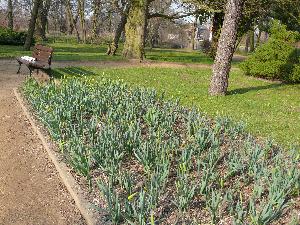 Gdańsk - Park Oliwski - ogród botaniczny