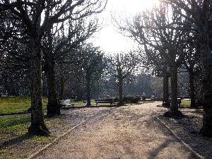 Gdańsk - Park Oliwski - ogród botaniczny