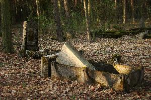 Zarośle Cienkie - cmentarz ewangelicki