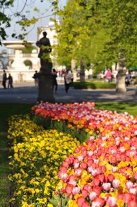 Warszawa - Ogród Saski