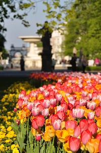 Warszawa - Ogród Saski