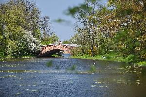 Wilanów - most rzymski