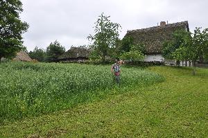 Skansen w Kłóbce