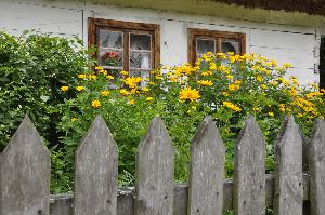 Skansen w Kłóbce - chałupa