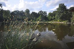 Wrocław - Ogród Japoński