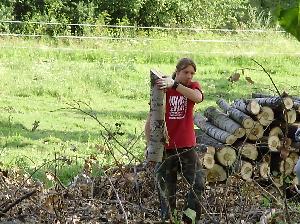 Schronisko dla zwierząt "TARA" - odbudowa zniszczeń po tornadzie