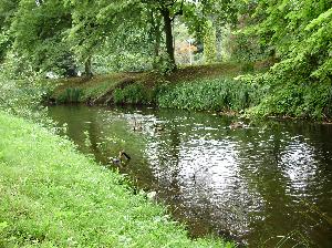 Zabytkowy Park w Koszalinie