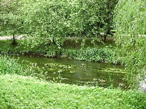 Zabytkowy Park w Koszalinie