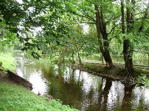 Zabytkowy Park w Koszalinie