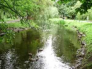 Zabytkowy Park w Koszalinie