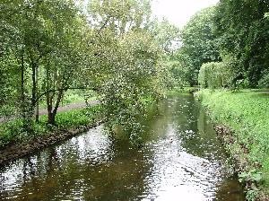 Zabytkowy Park w Koszalinie