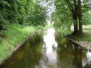 Zabytkowy Park w Koszalinie