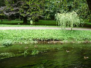 Zabytkowy Park w Koszalinie