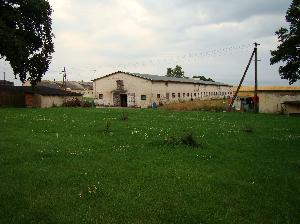 Rogalin (pow. sępoleński) - cielętnik-wolarnia