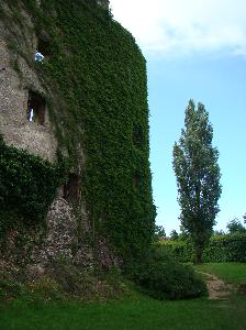 Bolków - zamek