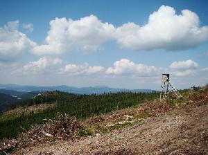 Śnieżnik